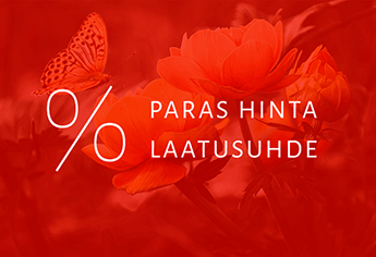 Paras hinta laatusuhde